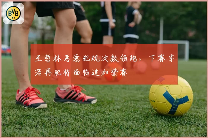 王哲林恶意犯规次数领跑，下赛季若再犯将面临追加禁赛