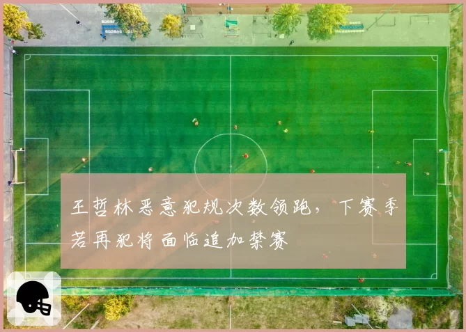 王哲林恶意犯规次数领跑，下赛季若再犯将面临追加禁赛