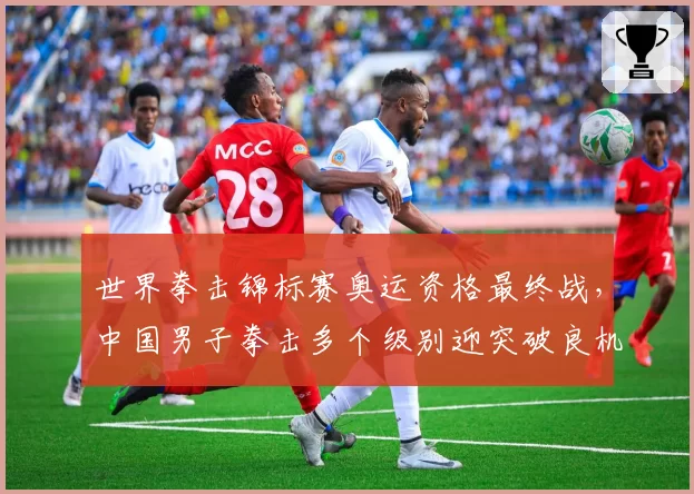 世界拳击锦标赛奥运资格最终战，中国男子拳击多个级别迎突破良机